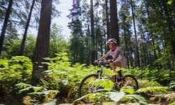 delamere forest cycling