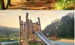 delamere forest play area