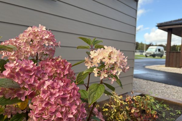 Fishpool Holiday Park (10)